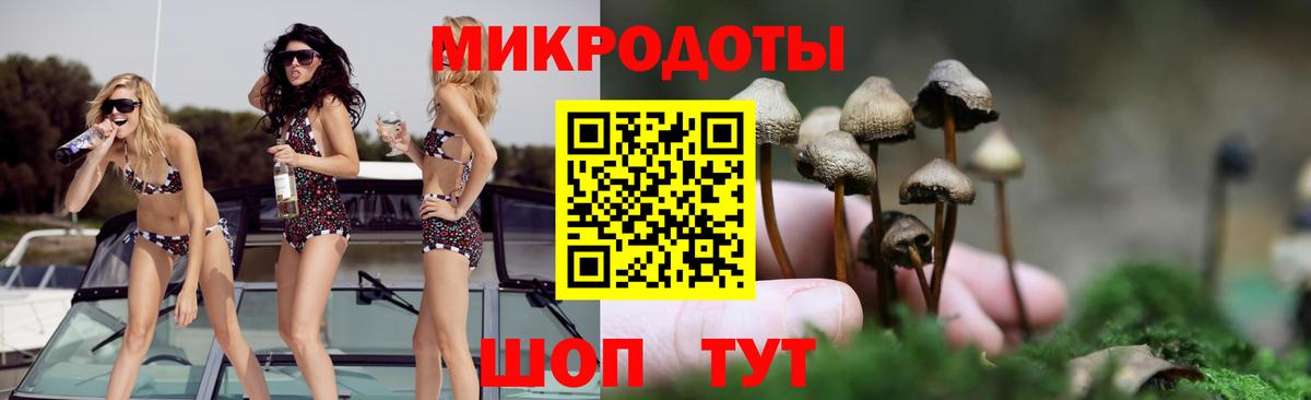 Новоуральск  Псилоцибиновые грибы Psilocybe  Вход с VPN 